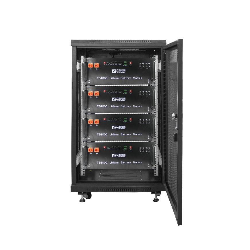 TE4000 48V 100Ah Lithium LiFePO4 48V 100Ah Battery with BMS 51.2KWh Lifepo4 Battery